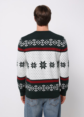 Комбінований демісезонний джемпер джемпер Colin's