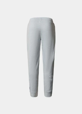 Серые спортивные демисезонные джоггеры брюки The North Face