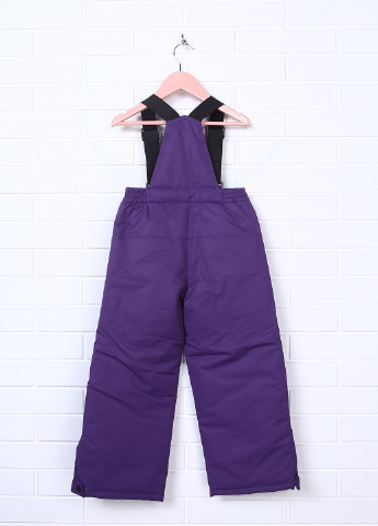 Фиолетовые спортивные зимние прямые брюки X-Trem by Gusti