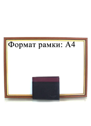 Чоловіча шкіряна візитниця 10х8х1,7 см Grass (212705312)