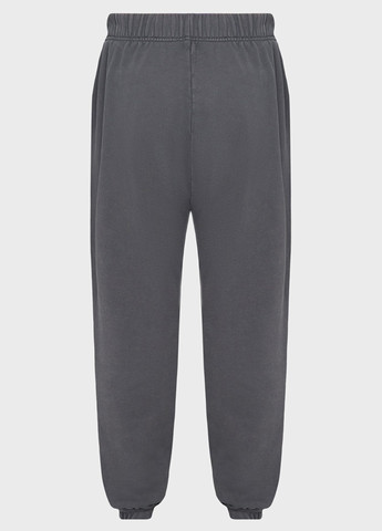 Темно-серые спортивные демисезонные джоггеры брюки PRPY