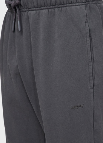 Темно-серые спортивные демисезонные джоггеры брюки PRPY