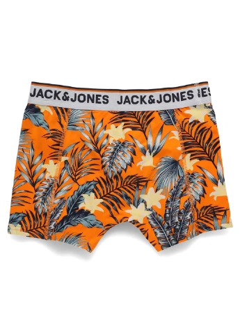 Трусы Jack & Jones (316507639)
