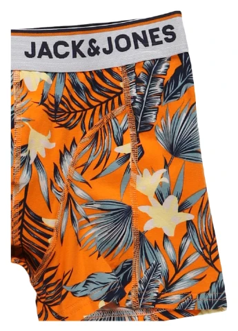 Трусы Jack & Jones (316507639)