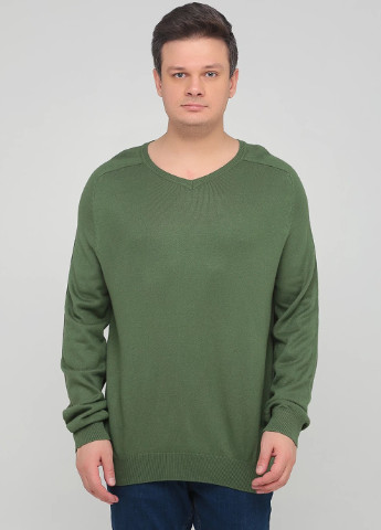 Зеленый демисезонный пуловер F&F