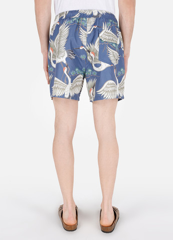 Шорти Colin's (314089540)