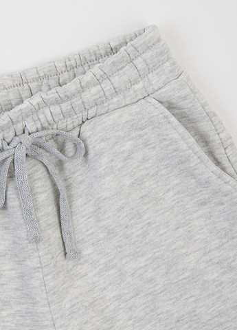 Серые спортивные зимние джоггеры брюки Flamingo