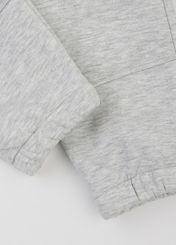 Серые спортивные зимние джоггеры брюки Flamingo