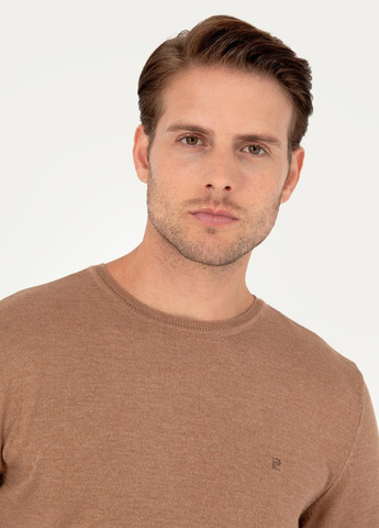 Темно-бежевий демісезонний джемпер джемпер Pierre Cardin