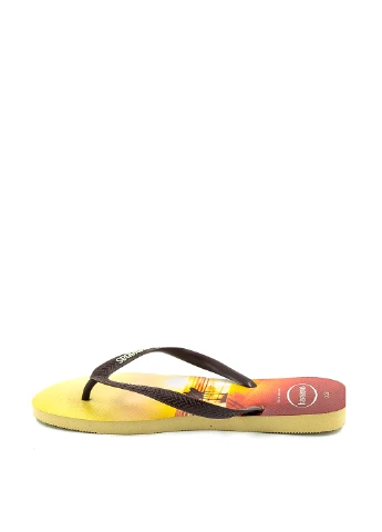 В'єтнамки Havaianas (233901787)