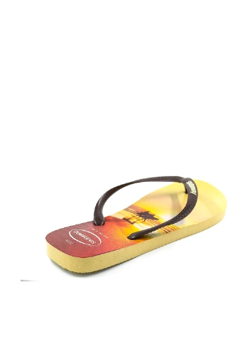 В'єтнамки Havaianas (233901787)