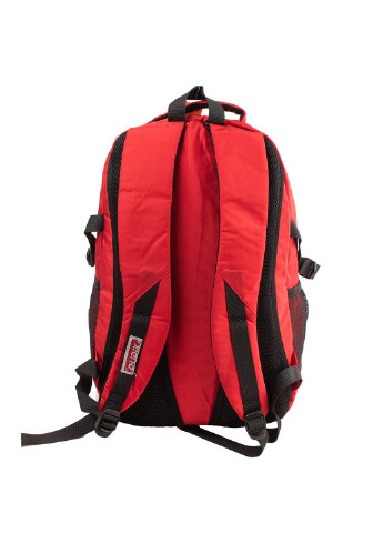 Спортивный рюкзак 31х47х16 см Valiria Fashion (253102094)