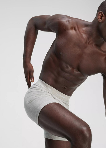 Трусы (3 шт.) Calvin Klein (324228902)