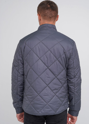 Сіро-голубий демісезонна куртка Trend Collection