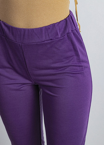 Фиолетовые спортивные демисезонные джоггеры брюки Time of Style