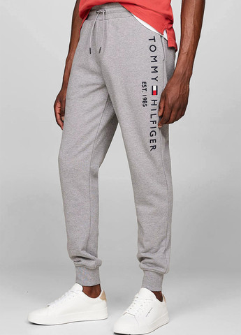 Серые спортивные демисезонные джоггеры брюки Tommy Hilfiger