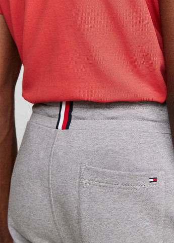 Серые спортивные демисезонные джоггеры брюки Tommy Hilfiger