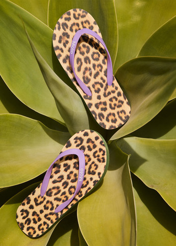 Бежевые вьетнамки Molo с логотипом