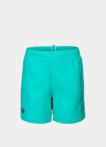 Шорти Arena LOGOTYPE BEACH BOXER (331601905)
