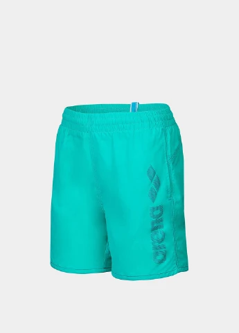 Шорти Arena LOGOTYPE BEACH BOXER (331601905)