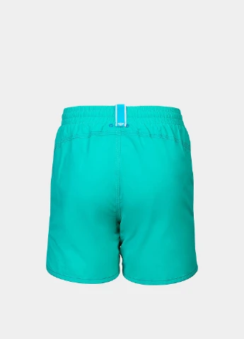 Шорти Arena LOGOTYPE BEACH BOXER (331601905)