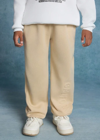 Штани SHEIN (323262927)