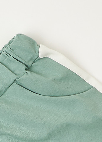 Зеленый летний комплект (футболка, шорты) Фламинго