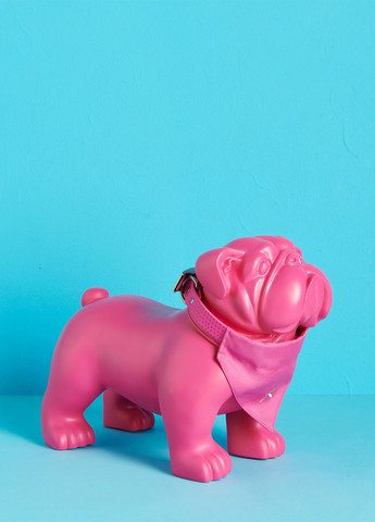 Краватка для тварин Reserved (291119200)