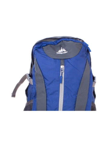 Чоловічий рюкзак 30х49х17 см Onepolar (255710733)