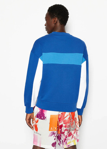 Синий свитшот Armani Exchange полоска без декора (365688618)