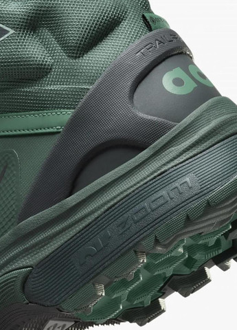 Черевики DD2858-300 Nike Acg Air Zoom Gaiadome Gore-Tex (365688230)