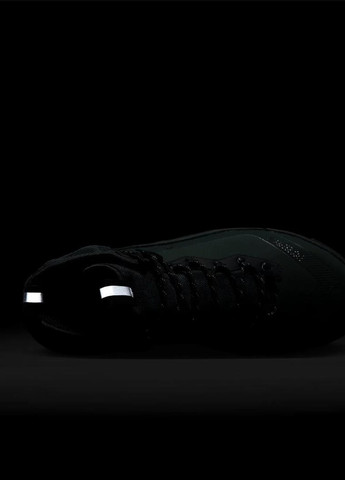 Черевики DD2858-300 Nike Acg Air Zoom Gaiadome Gore-Tex (365688230)