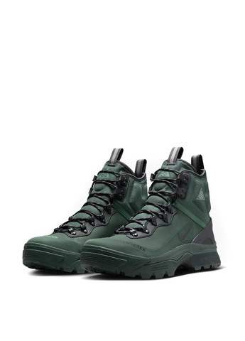 Черевики DD2858-300 Nike Acg Air Zoom Gaiadome Gore-Tex (365688230)