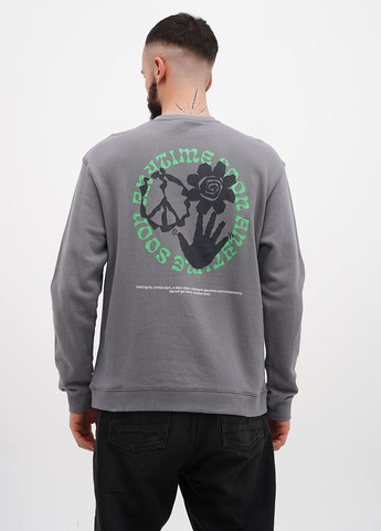 Сірий світшот H&M напис без декору (315732876)