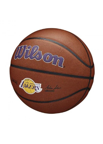 Баскетбольный Мяч NBA Team Alliance Basketball 7 Wilson (253678099)