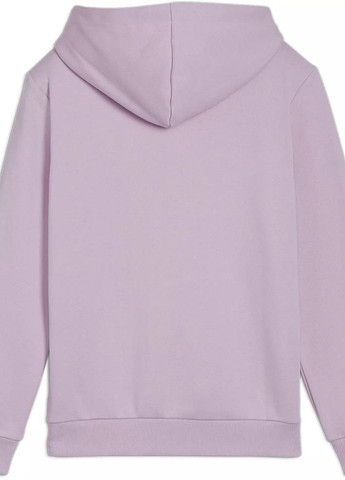 Худі Puma (353209805)