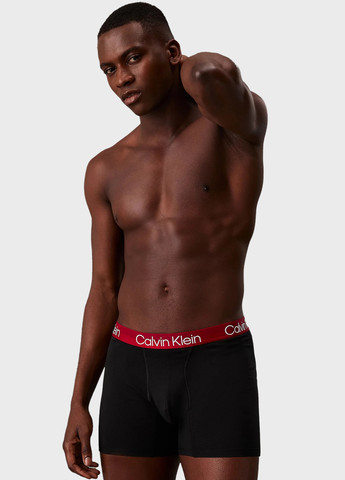 Труси (3 шт.) Calvin Klein (366431636)