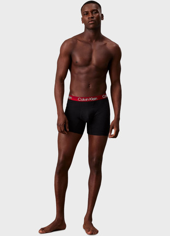 Труси (3 шт.) Calvin Klein (366431636)