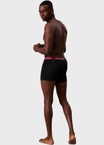 Труси (3 шт.) Calvin Klein (366431636)