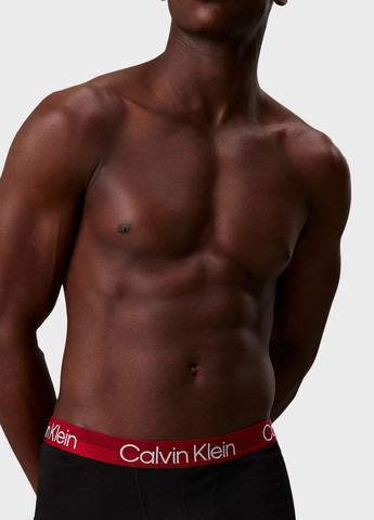 Труси (3 шт.) Calvin Klein (366431636)