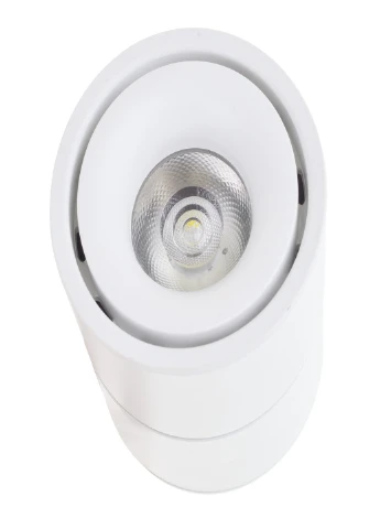 KW-229 / 12W NW WH Трековий led світильник Brille (185914024)