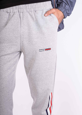 Светло-серые спортивные демисезонные джоггеры брюки Time of Style