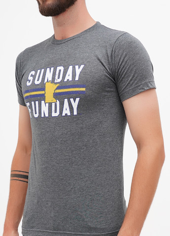 Сіра футболка My State Threads