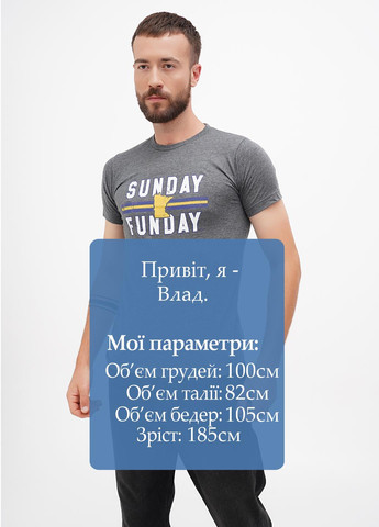 Сіра футболка My State Threads