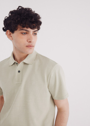 Поло Springfield (342058894)