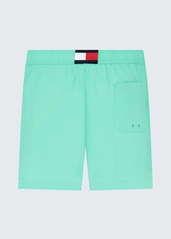 Шорты Tommy Hilfiger (307009236)