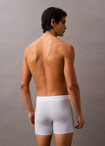 Труси (3 шт.) Calvin Klein (366367466)