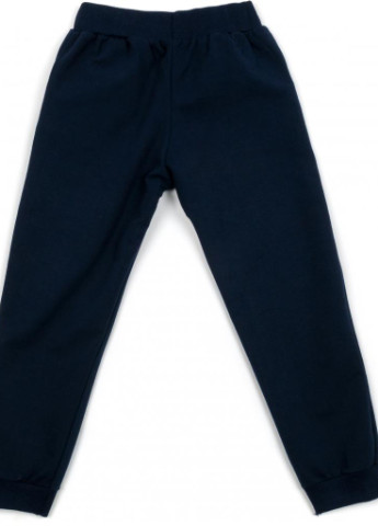 Сірий демісезонний костюм десткий з метеликом (13862-140g-blue) Breeze