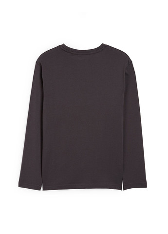 Темно-серый демисезонный кэжуал лонгслив C&A с надписями