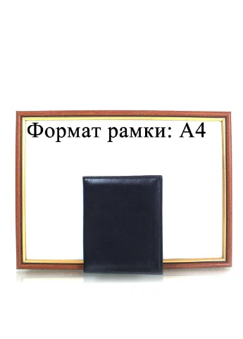 Чоловіча шкіряна візитниця 11,5х13,5х1,5 см Grass (252416913)